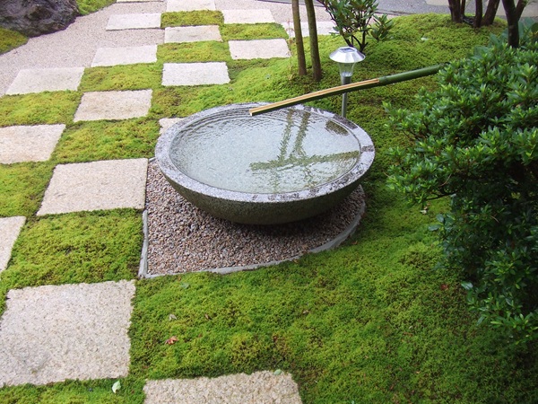 苔庭　「水鉢と苔と市松のコラボ」